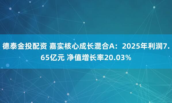 德泰金投配资 嘉实核心成长混合A：2025年利润7.65亿元 净值增长率20.03%